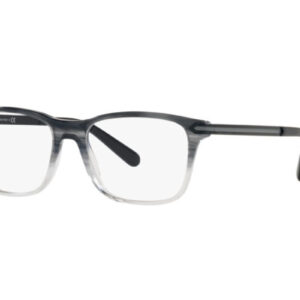 BVLGARI 3049