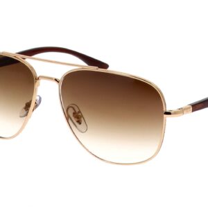 RAY BAN 3683