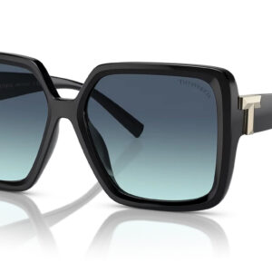 TIFFANY & CO 4206U