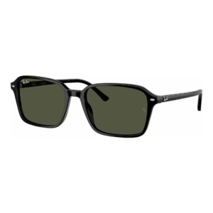 RAY BAN 2231