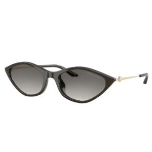 ARMANI EXCHANGE 4152SU