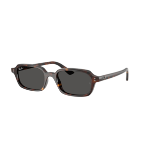 RAY BAN 4455