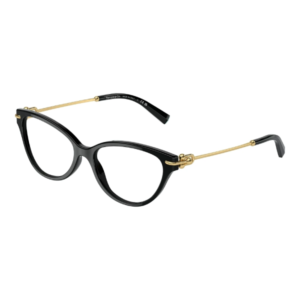 TIFFANY & CO 2231