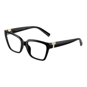 TIFFANY & CO 2257BU