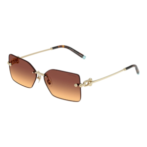 TIFFANY & CO 3088
