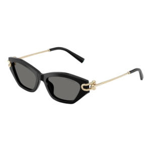 TIFFANY & CO 4231U