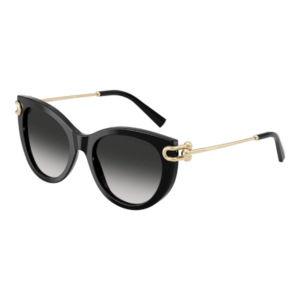 TIFFANY & CO 4232