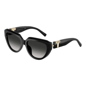 TIFFANY & CO 4238U