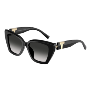 TIFFANY & CO 4239U