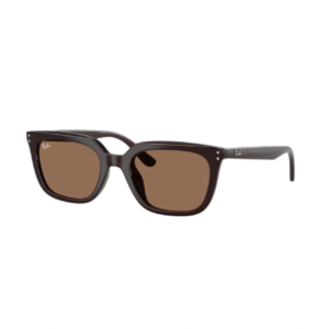 RAY BAN 4439D