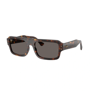 RAY BAN 4454