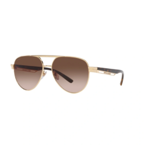 BVLGARI 6189