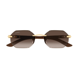 Cartier 0439S 006