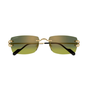 Cartier 0550S 006