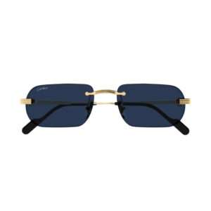 Cartier 0577S 003