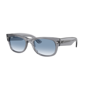 RAY BAN 0832S